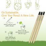 Customized Plantable Pencil