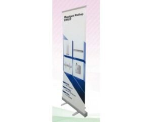 BUDGET ROLL UP