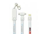 Dual Charging Cable Lanyard