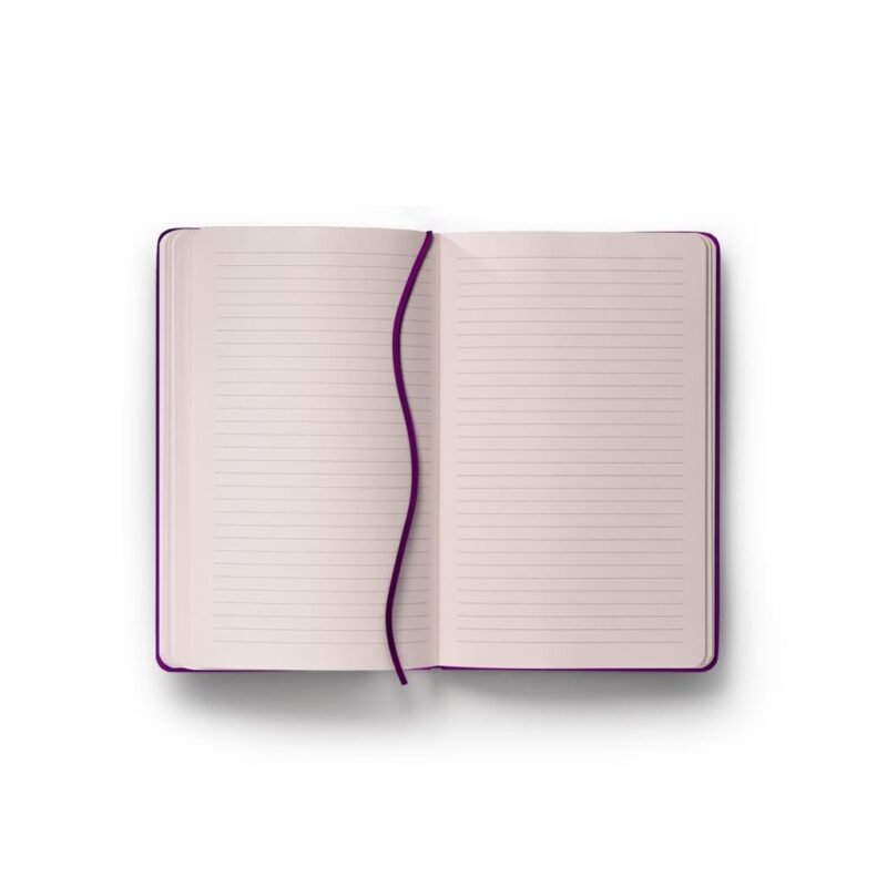 Scallops - Image 5
