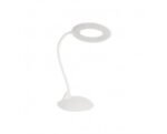 Euro Desk Lamp
