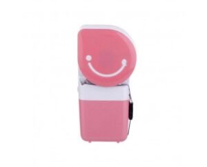 Hand Held Air Condition