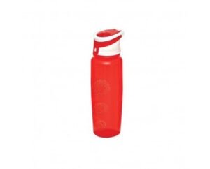 Sport Bottle